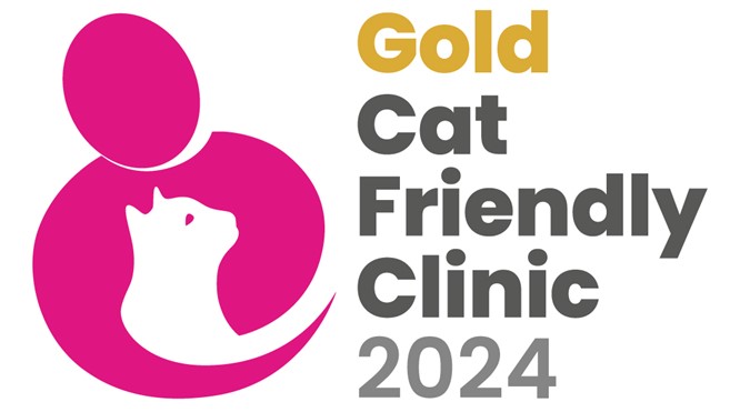 Cat Friendly Gold Certificate!